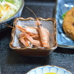 薩摩