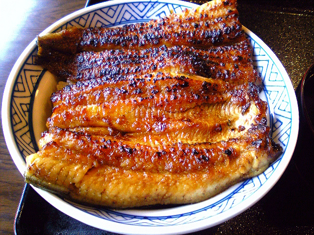 うなぎ専門店 本多 name=