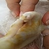 梅ヶ枝荘 梅ヶ枝荘