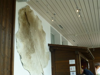 Restaurant Bahnhof Kleine Scheidegg -