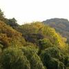 ル・ミリュウ 鎌倉山 ル・ミリュウ 鎌倉山
